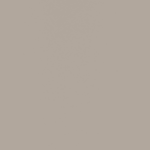 Пластик FENIX Beige Arizona